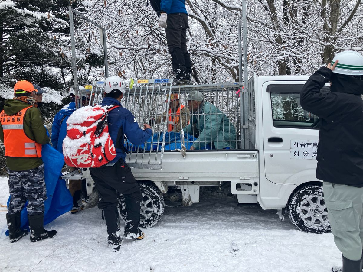 <速報>仙台市泉区のクマ捕獲　7日午前11時40分頃麻酔銃