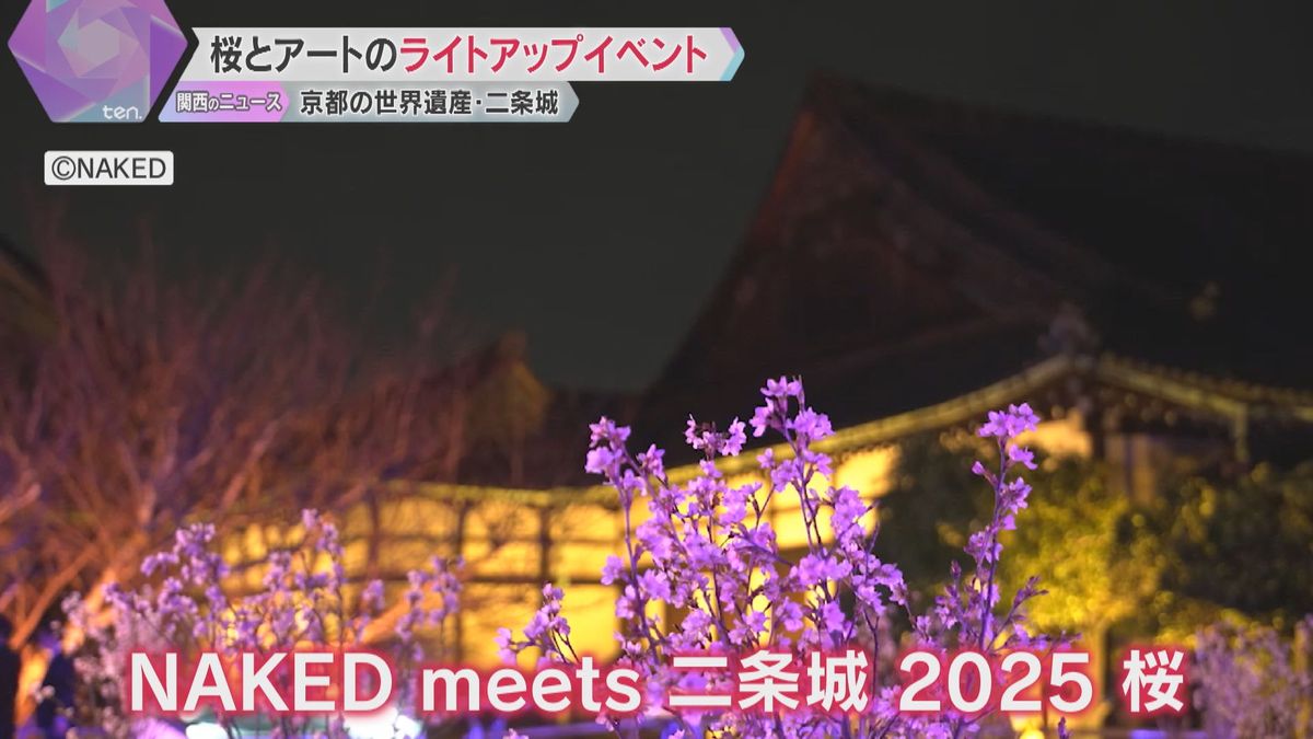 京都の世界遺産・二条城で「桜」と「デジタルアート」楽しめるライトアップイベント　食べ物の屋台も