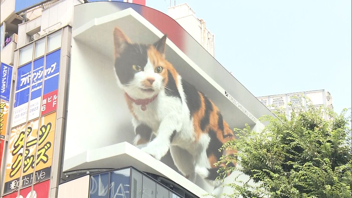 最先端技術で…新宿駅前に“巨大ネコ”