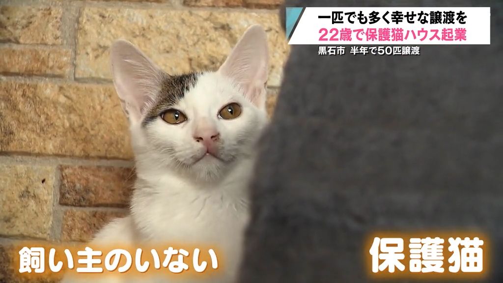 【特集】保護猫の幸せな譲渡へ　大学卒業したての22歳が一念発起して起業した「猫ハウスごろにゃん」　青森県黒石市