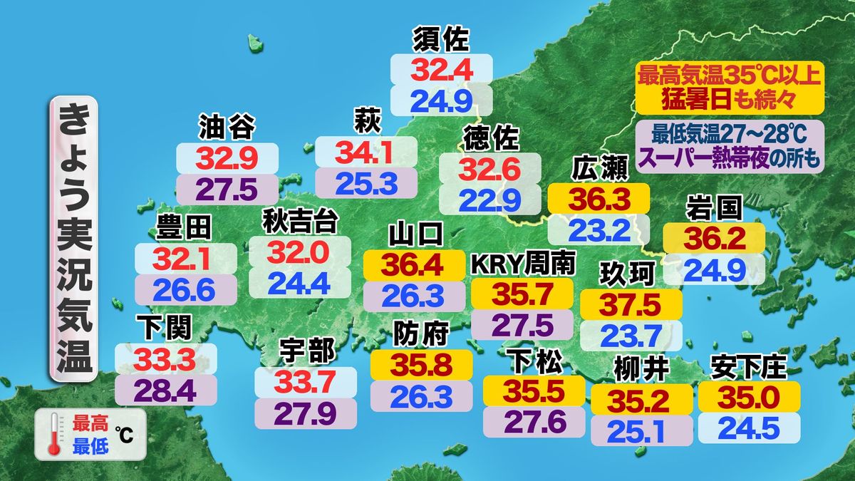 31日(水)の実況気温