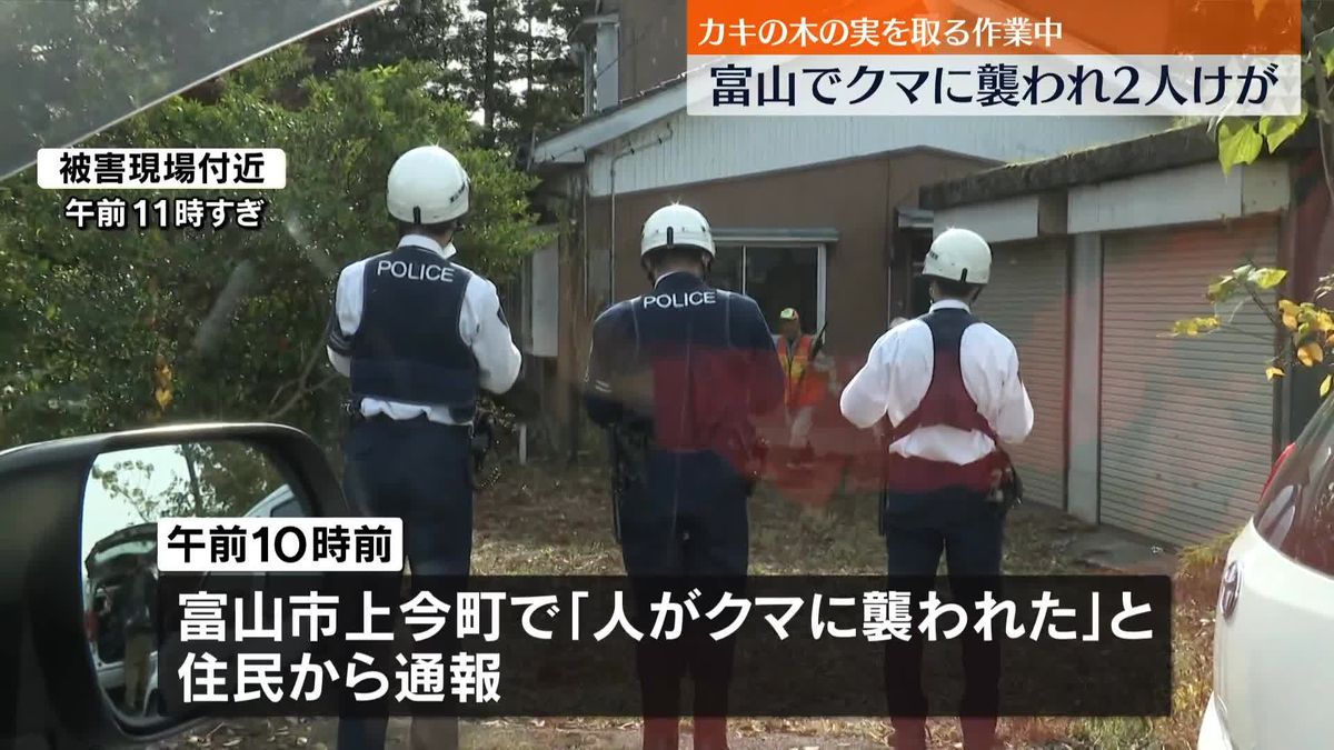 カキの実を取る作業中に…クマに襲われ男性2人ケガ　富山市