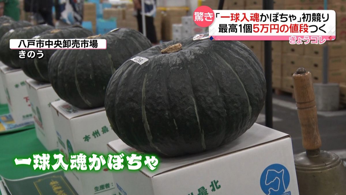 最高１個５万円「一球入魂かぼちゃ」初せり