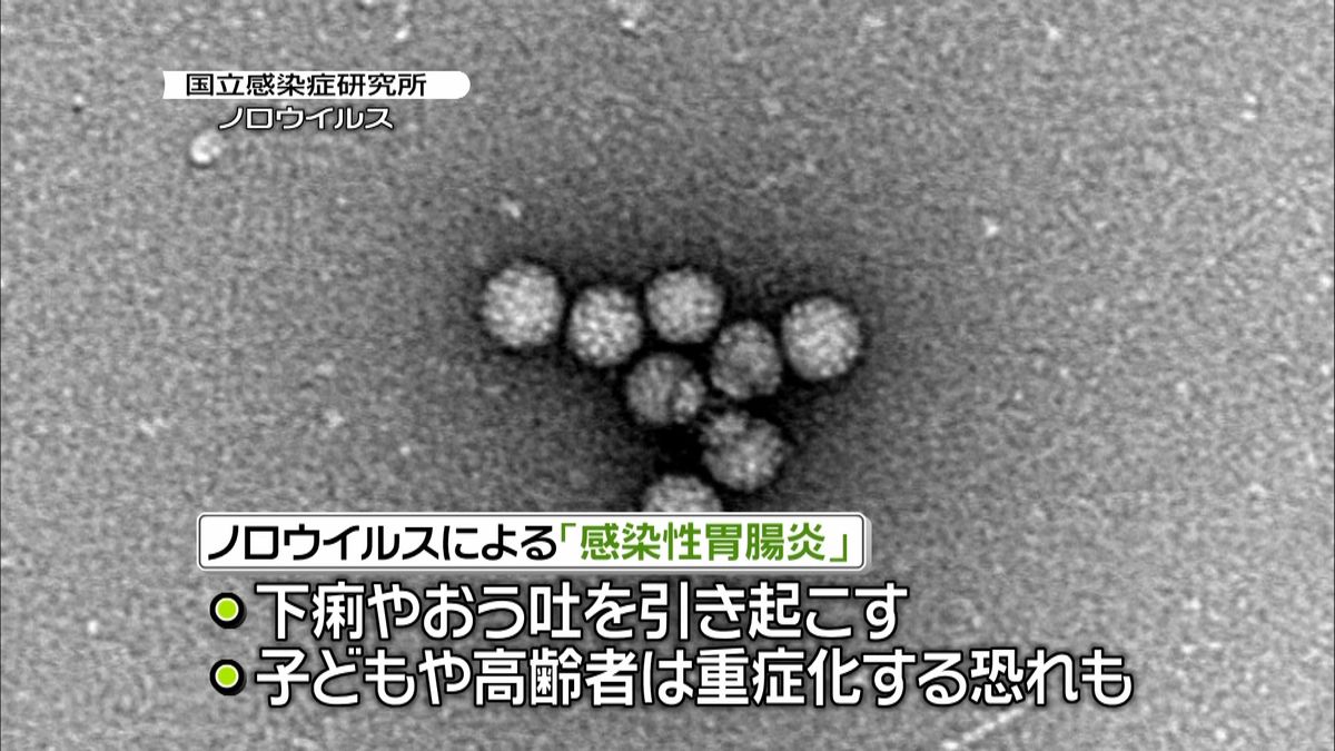 ノロなどの感染性胃腸炎患者　１０年で２番