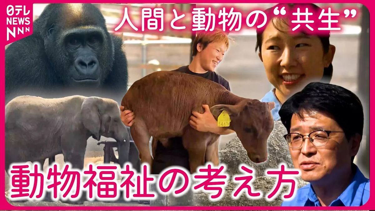 【動物福祉】動物園にライオンがいない⁉ 動物と人間が“共生“する考え方とは『every.特集』