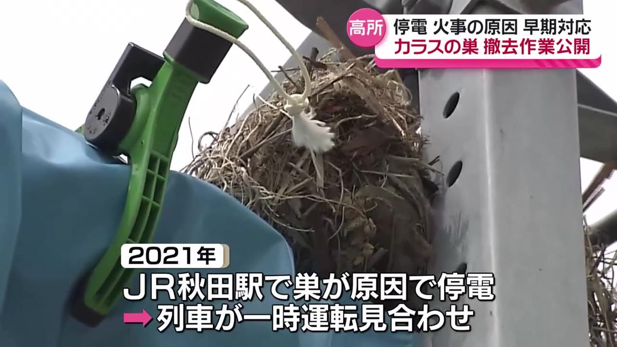 "電柱のカラスの巣"撤去作業を公開　東北電力ネットワーク