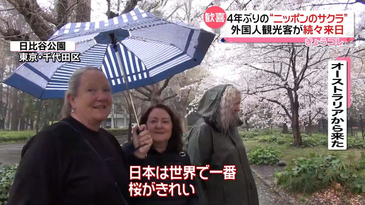 4年ぶり「日本の桜」求めて外国人観光客が続々来日　観光地は桜熱”の対応に追われ…