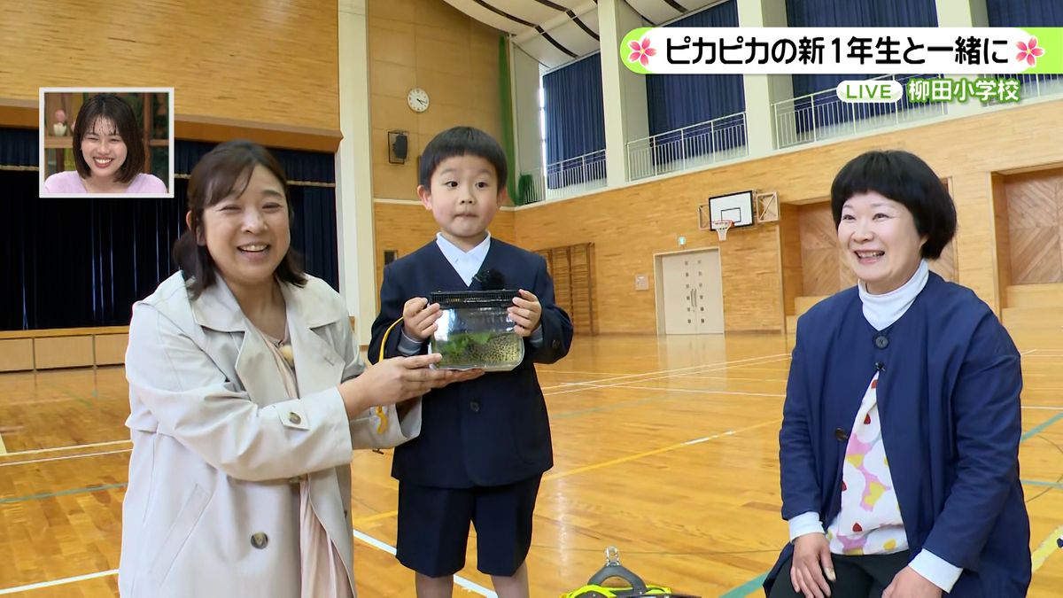 ピカピカの一年生「生き物博士になりたいしっかり者のお兄ちゃん」