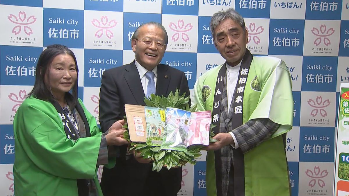 味と香りが引き立つ幻の製法で作られる「釜炒り茶」　市長に寄贈　国内茶葉生産の1％ほど　大分県佐伯市