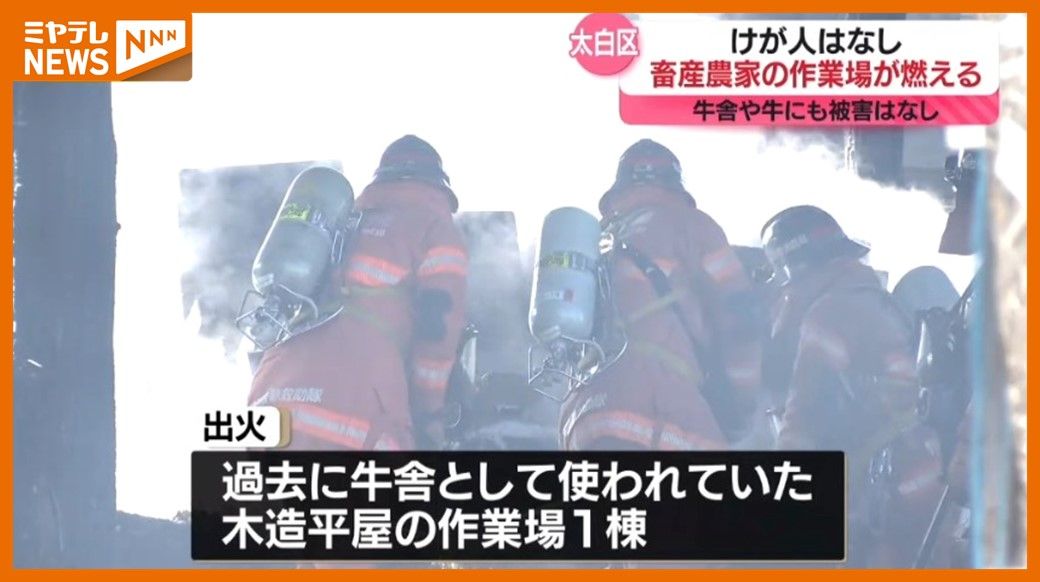 【続報】牛や牛舎に被害なし、畜産農家で作業場燃える火事…ケガ人もなし・仙台市太白区