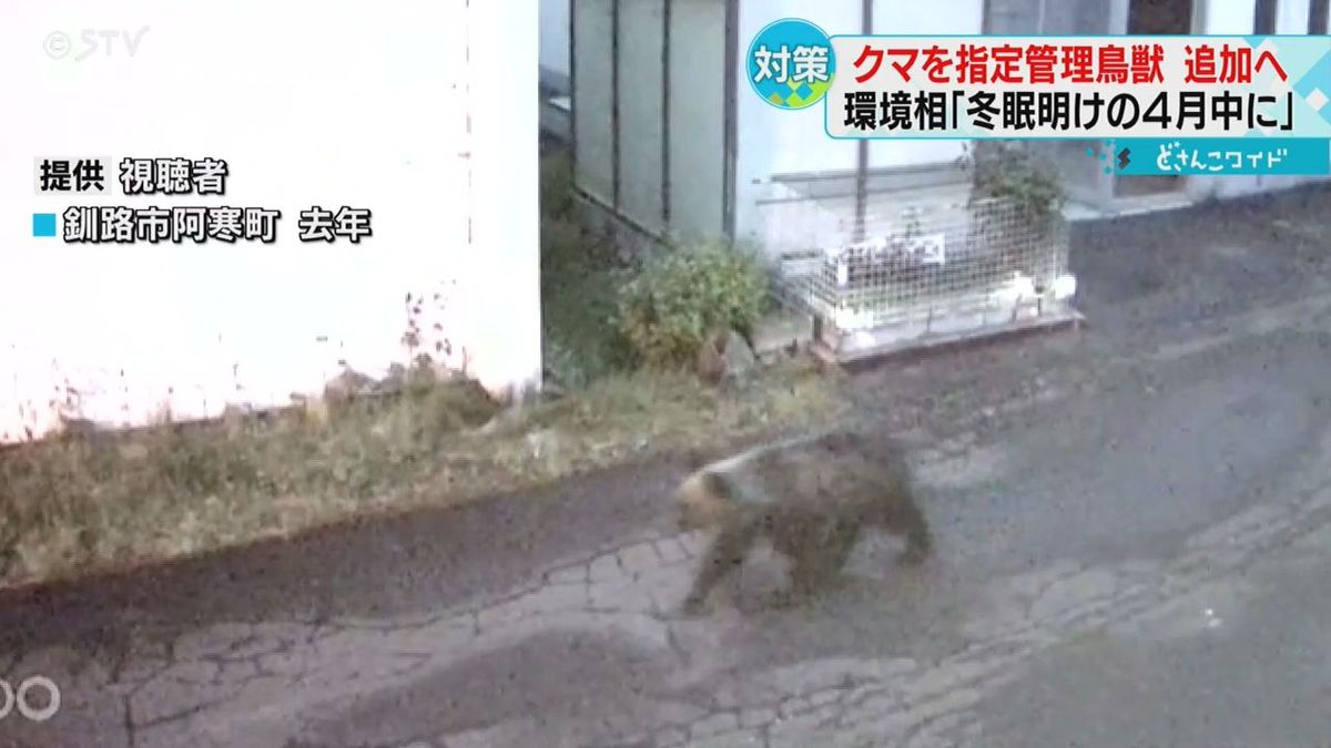 捕獲に交付金「指定管理鳥獣」にクマを追加…どうなるクマとの“共生”