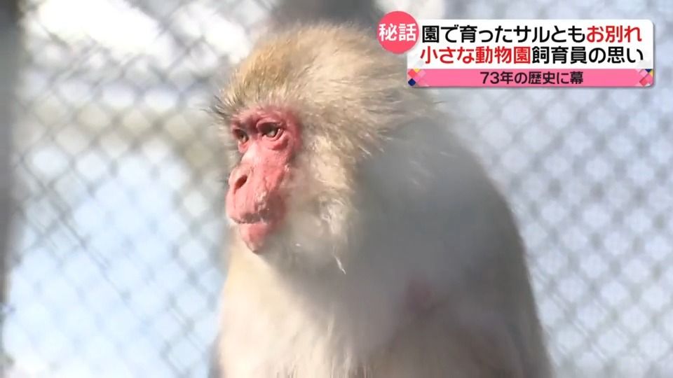 73年の歴史に幕　小田原の動物園　最後に残ったサル7匹も引っ越し