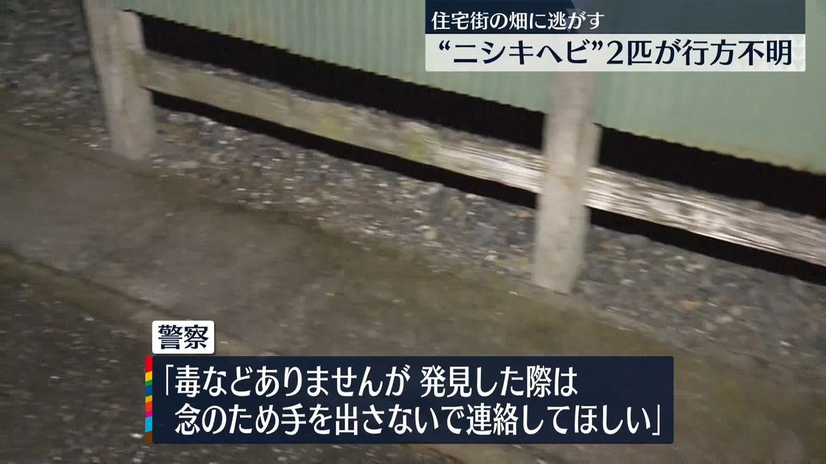 “ボールニシキヘビ”2匹が不明　毒なし　栃木県小山市