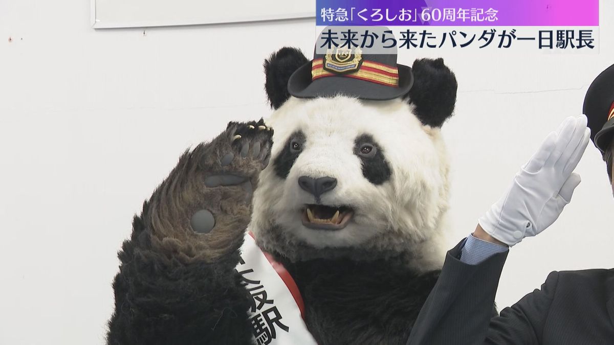 本物？ジャイアントパンダ「すみれ」　JR新大阪駅の一日駅長に就任　特急「くろしお」60周年記念