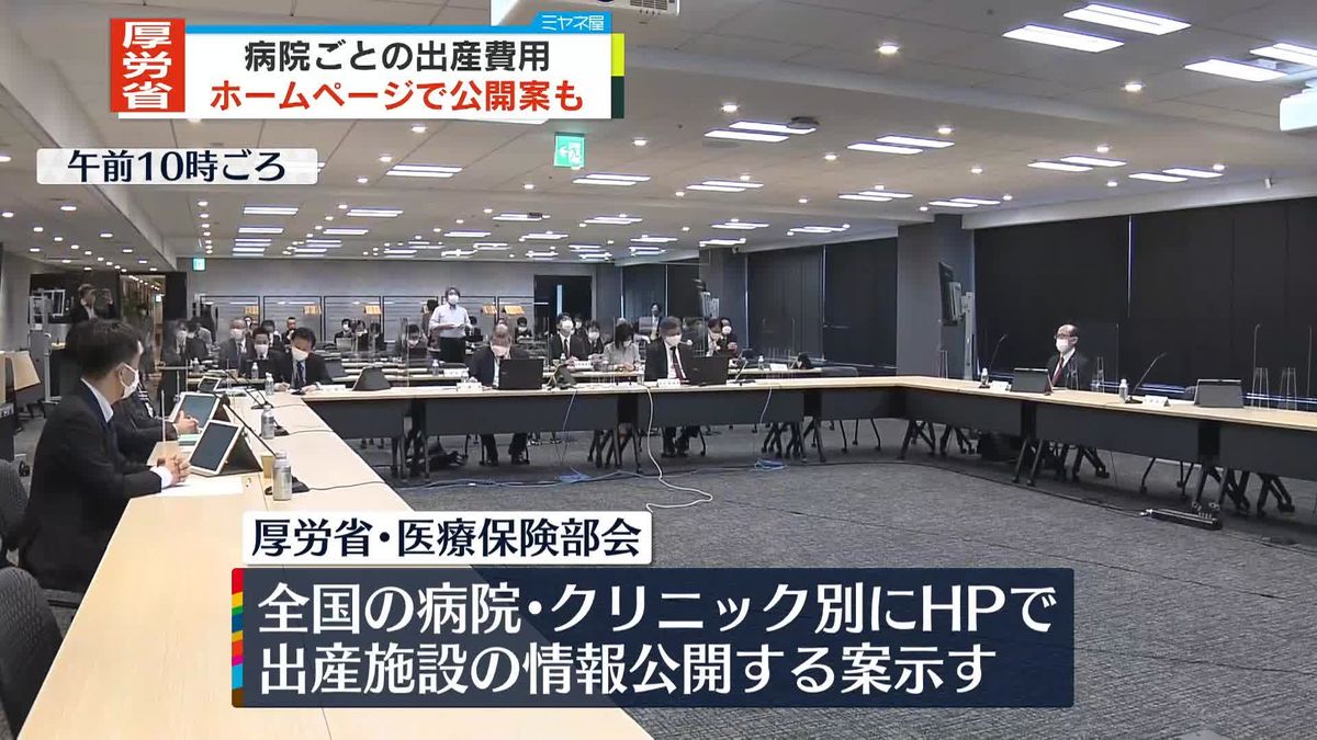 病院ごとの出産費用をホームページで公開も　厚労省