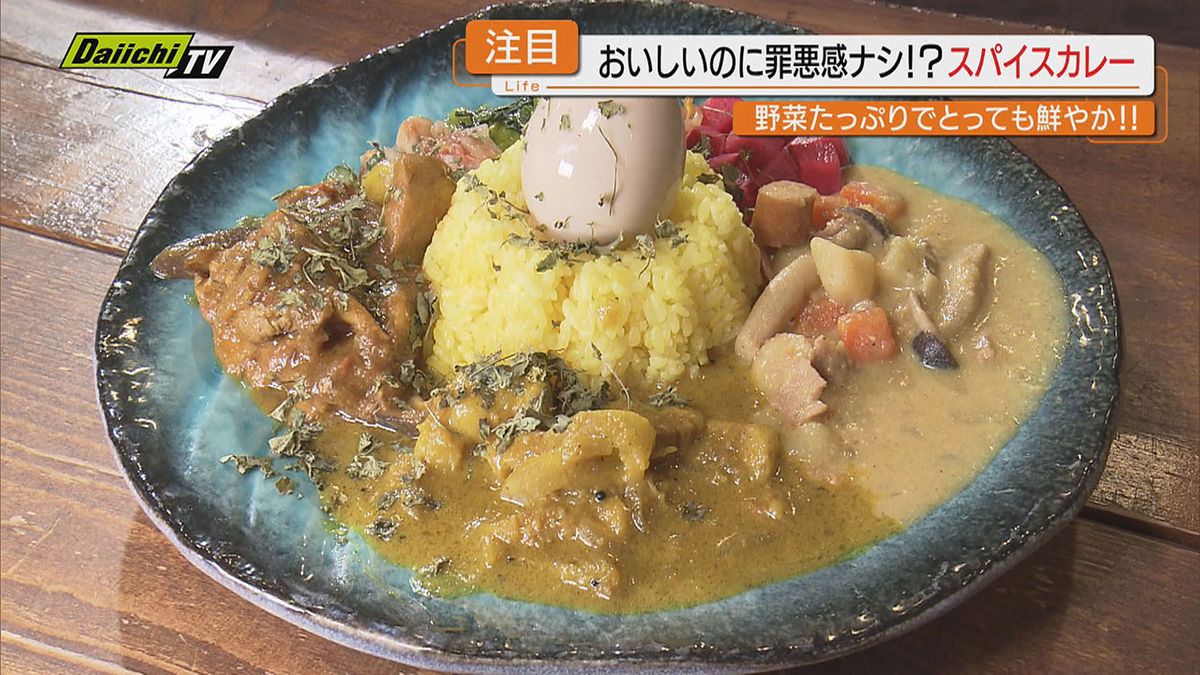 【注目】種類豊富なカレーの中でも“ヘルシー”で女性中心に人気「スパイスカレー」にフォーカス（静岡）