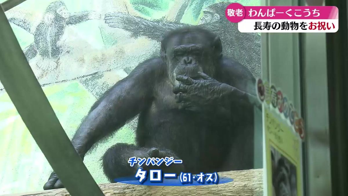 『長生きしてね！』高知市の動物園で長寿の動物たちに大好物をプレゼント【高知】