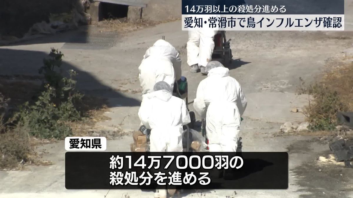 愛知・常滑市の養鶏場で鳥インフルエンザ　14万羽以上の殺処分進める　