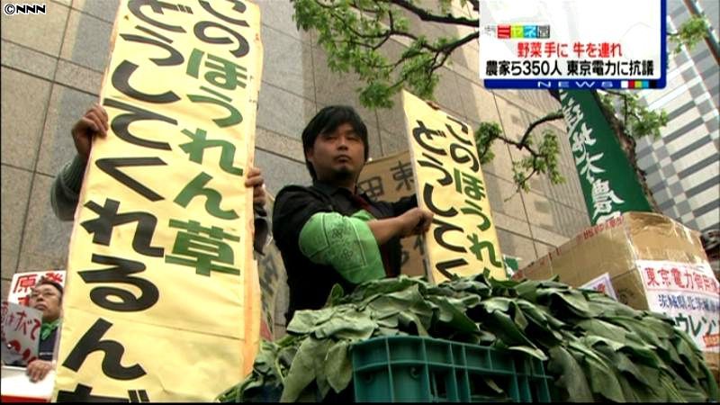 牛を引き連れ、農家らが東京電力に抗議活動