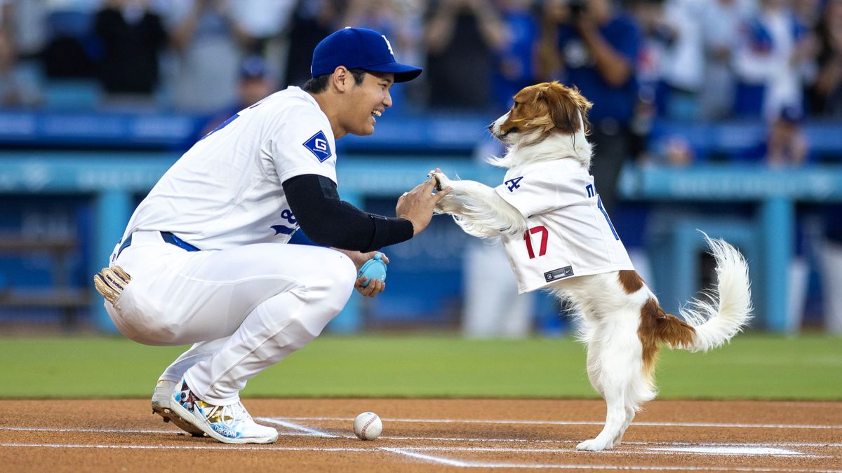 「デコピン好きすぎやろ」MLB公式にファンもツッコミ　公式SNSの各タイトル紹介で大谷の投稿にはほほえましい2ショットを使用