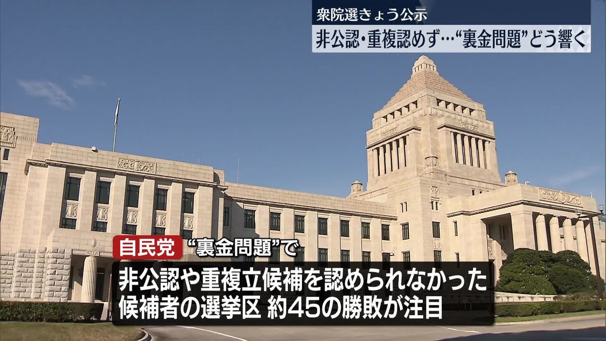 衆院選公示　物価高・安保…注目争点に各党訴えは