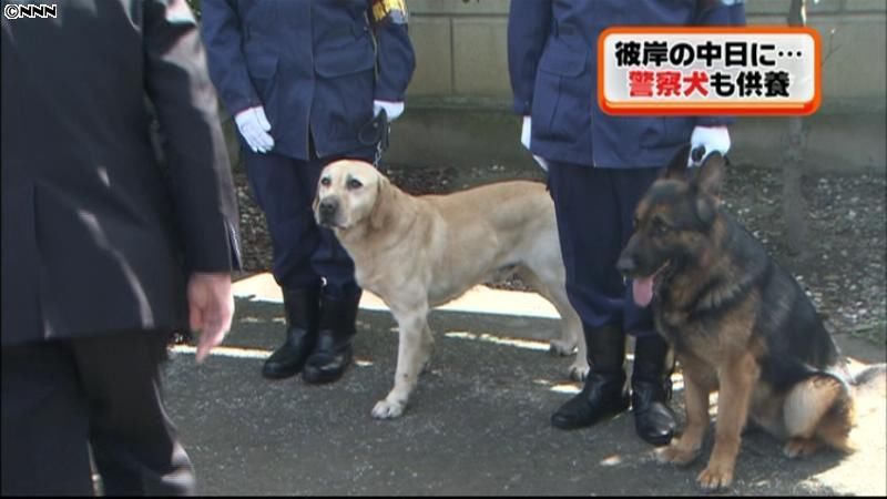 犯罪捜査に貢献、警察犬の慰霊祭　東京