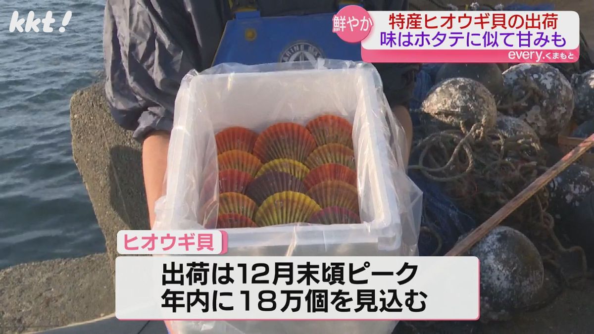 年内に18万個の出荷を見込む