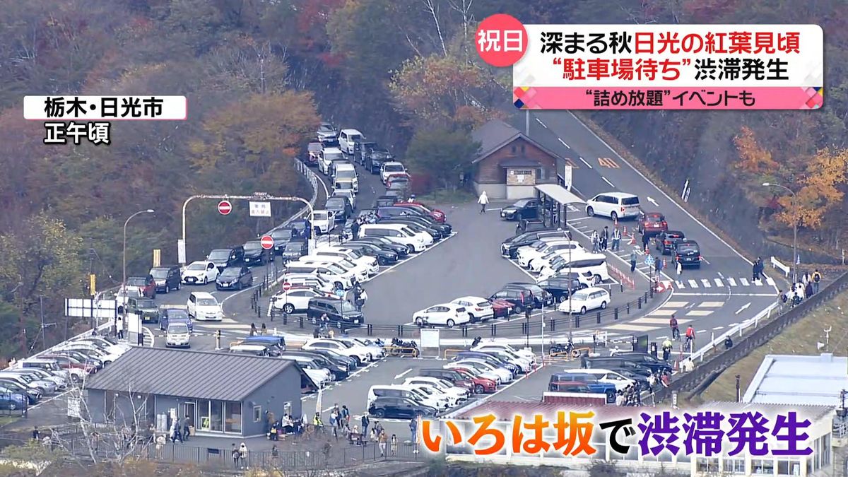 秋晴れの祝日　観光地にぎわい…各地で渋滞　「ワイン」目当てに大行列も