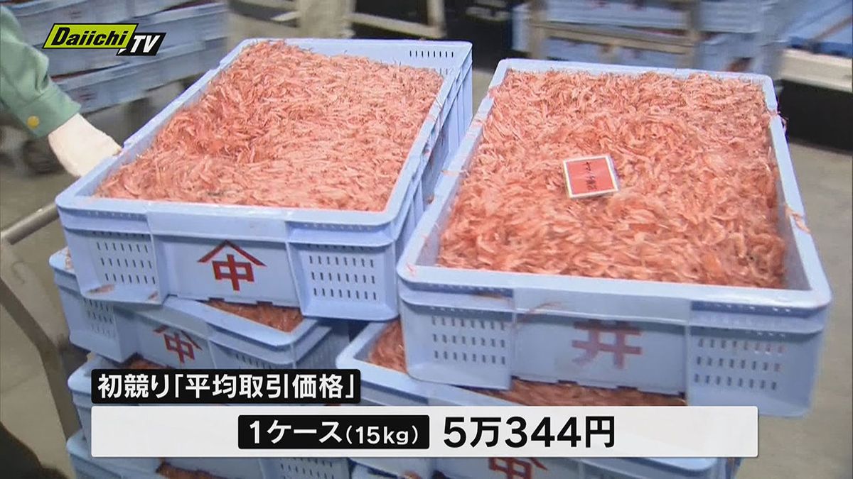 駿河湾特産「サクラエビ春漁」スタート！初競り平均取引価格１ケース（１５ｋｇ）５万３４４円（静岡県）