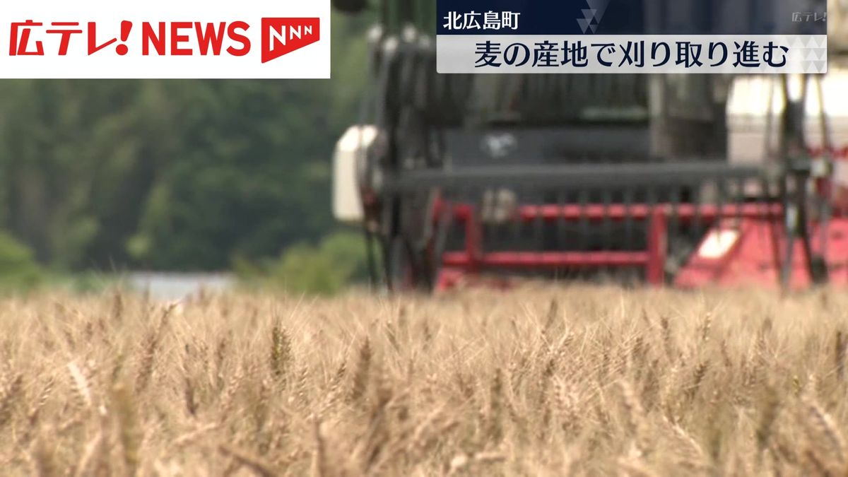 黄金色の麦を刈り取り　広島・北広島町