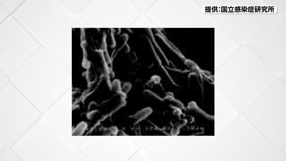 【最新】郡山市で“結核の集団感染”　患者との接触者約2700人を調査へ