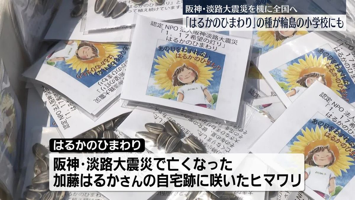 「はるかのひまわり」石川・輪島市の小学校で種植える活動　阪神･淡路大震災を機に全国へ