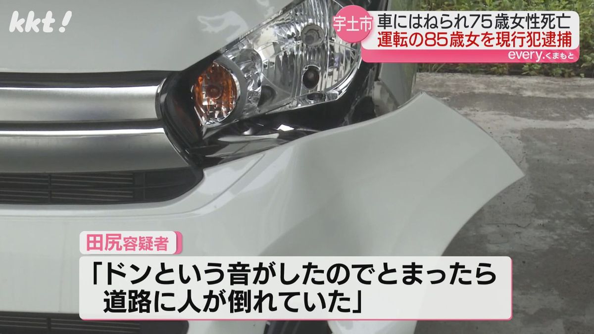 ｢ドンという音がしたのでとまったら道路に人が倒れていた｣と供述