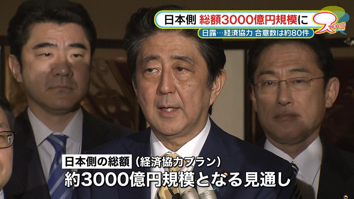 日露経済協力　日本側総額は約３千億円規模