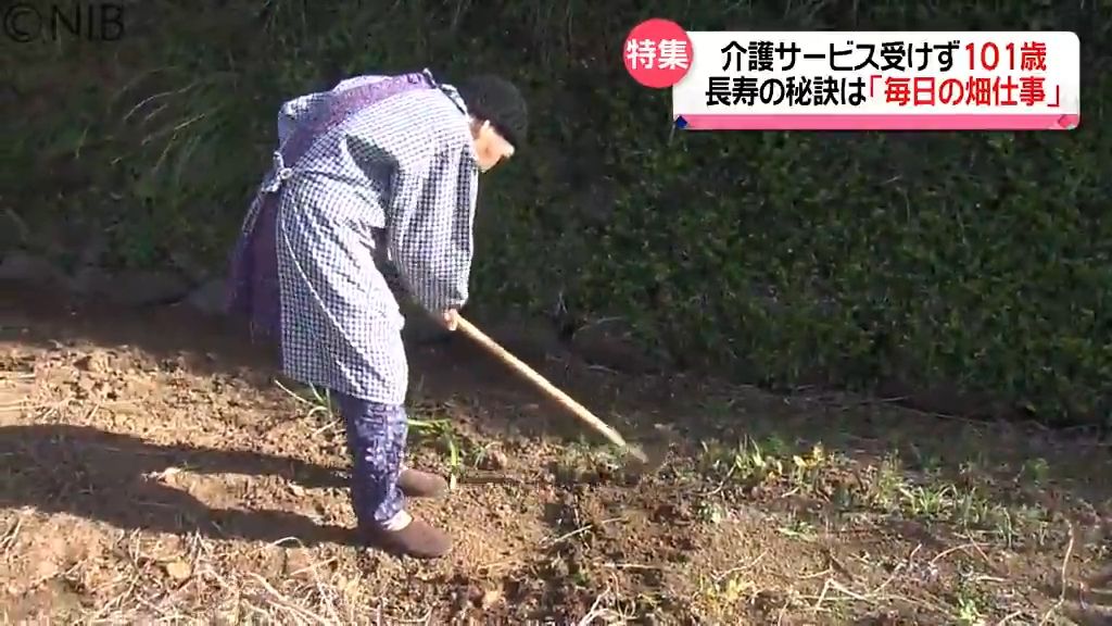 畑仕事に精を出す田村さん