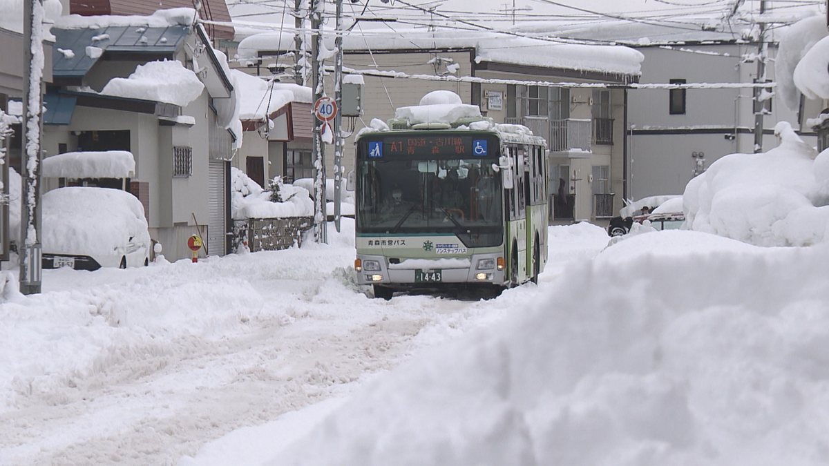 【独自】「どうやって今後に備えていくのか…」青森市が“豪雪白書”づくりへ　基準見直し新たな雪対策