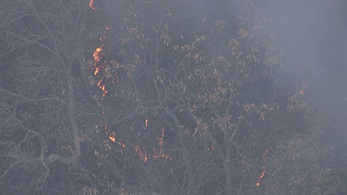 愛媛県内で相次ぐ山火事 延焼の原因「空気の乾燥」と「強風」に要注意！