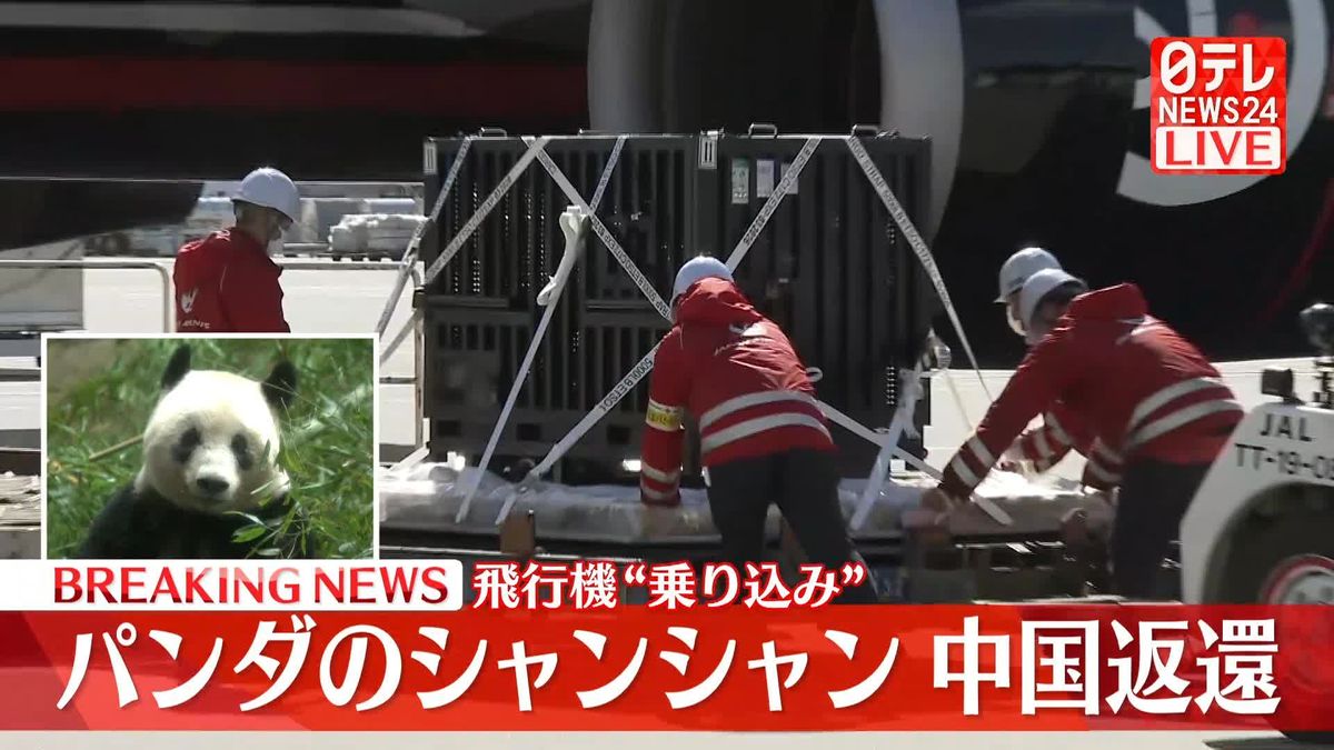 飛行機へ“乗り込み”　パンダのシャンシャン中国返還