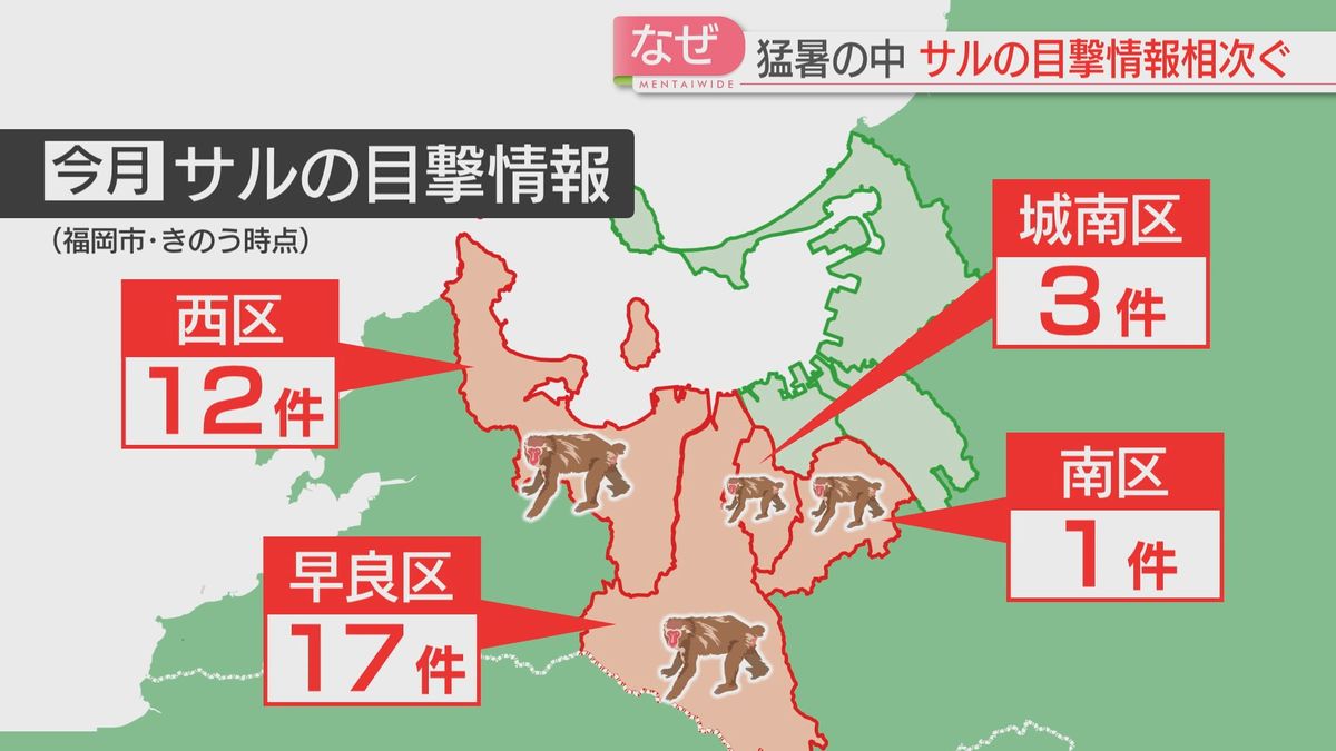 7月の福岡市での目撃情報