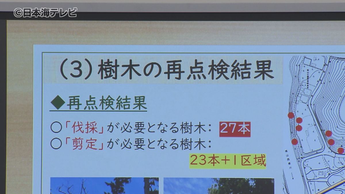 再点検で発覚　倒木の危険がある樹木が新たに27本　当初の4本から大幅増加　島根県松江市