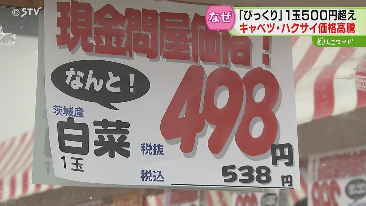 高いぞ葉物野菜キャベツや白菜に手が出ず…２月温暖３月低温でいま端境期　ピーマンでしのぐ店も