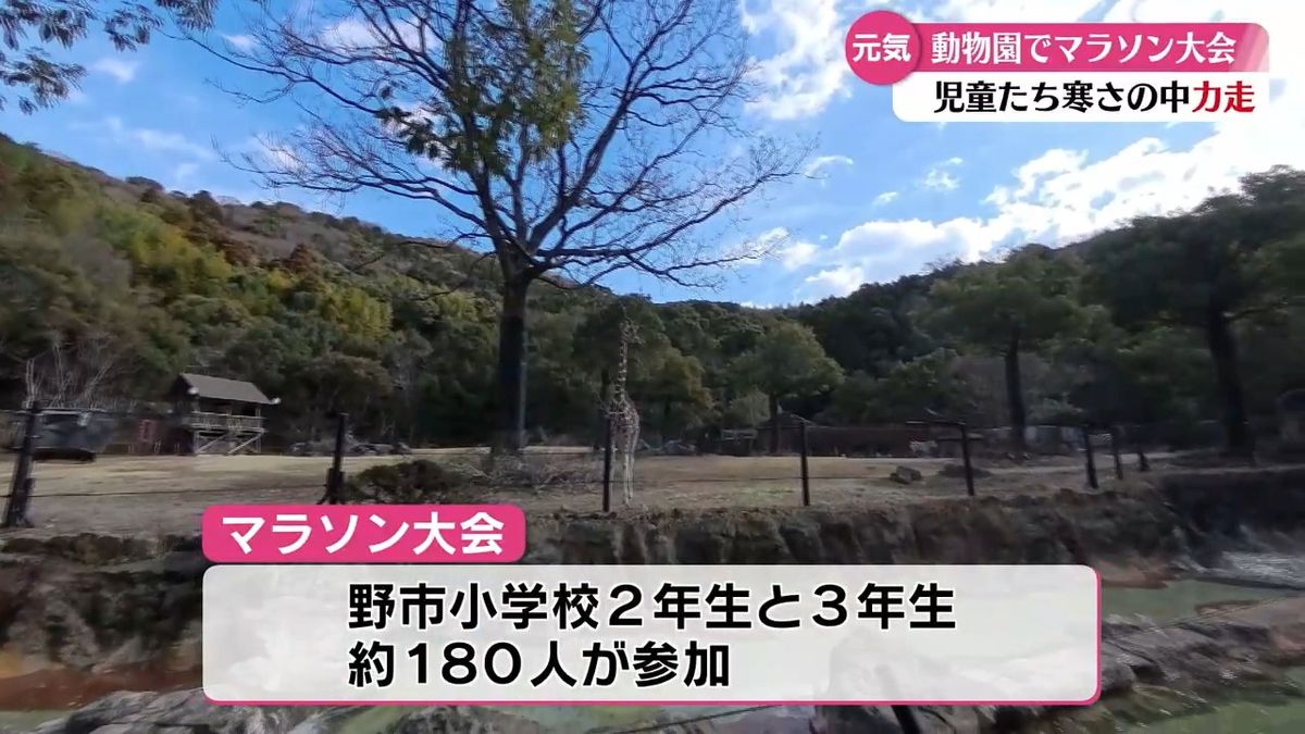 動物たちに見守られながら力走！のいち動物公園でマラソン大会 地元の小学生約180人が参加【高知】