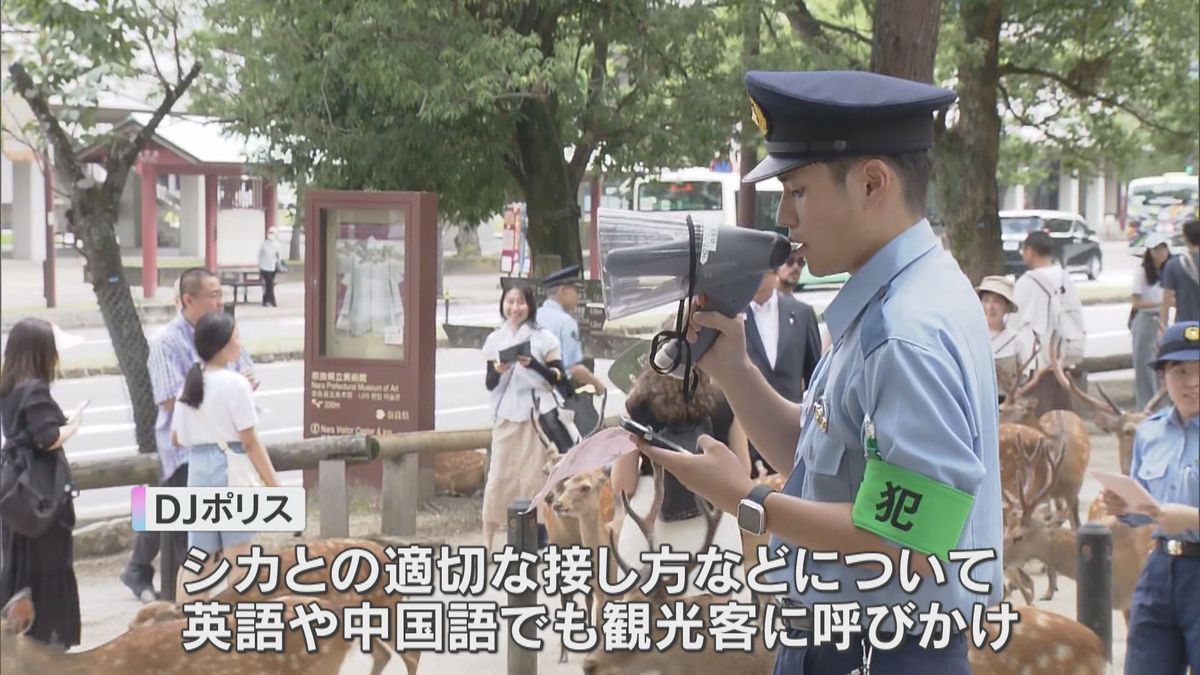 暴行する動画拡散「奈良のシカを大切に」DJポリスが観光客に呼びかけ　英語や中国語でも