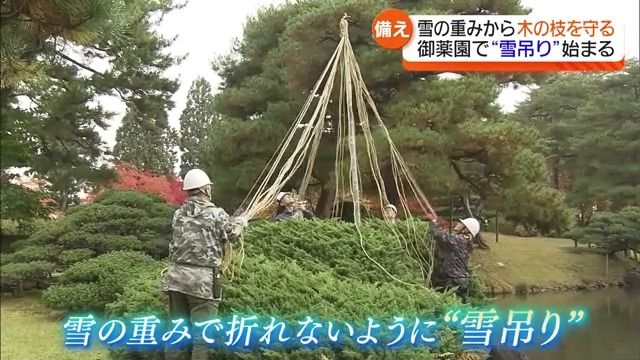 「段々寒くなってきてやっと」会津若松市の御薬園で雪吊り　冬の訪れに備えて作業開始