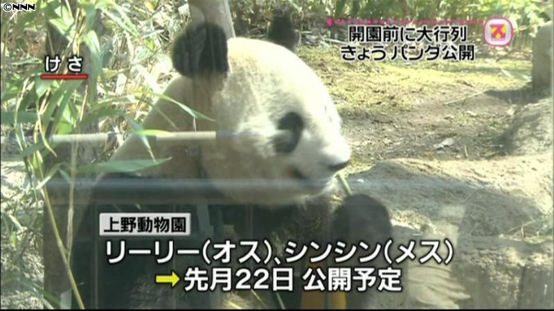 上野動物園でパンダ公開　３年ぶり