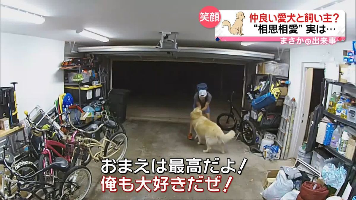 「おまえは最高！」犬がなついたのは…泥棒だった　“18万円以上”自転車をまんまと…アメリカ