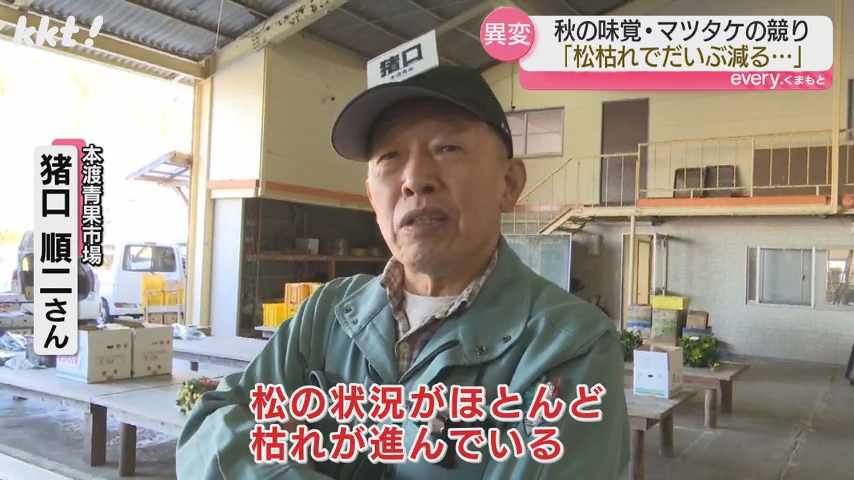 本渡青果市場 猪口順二さん