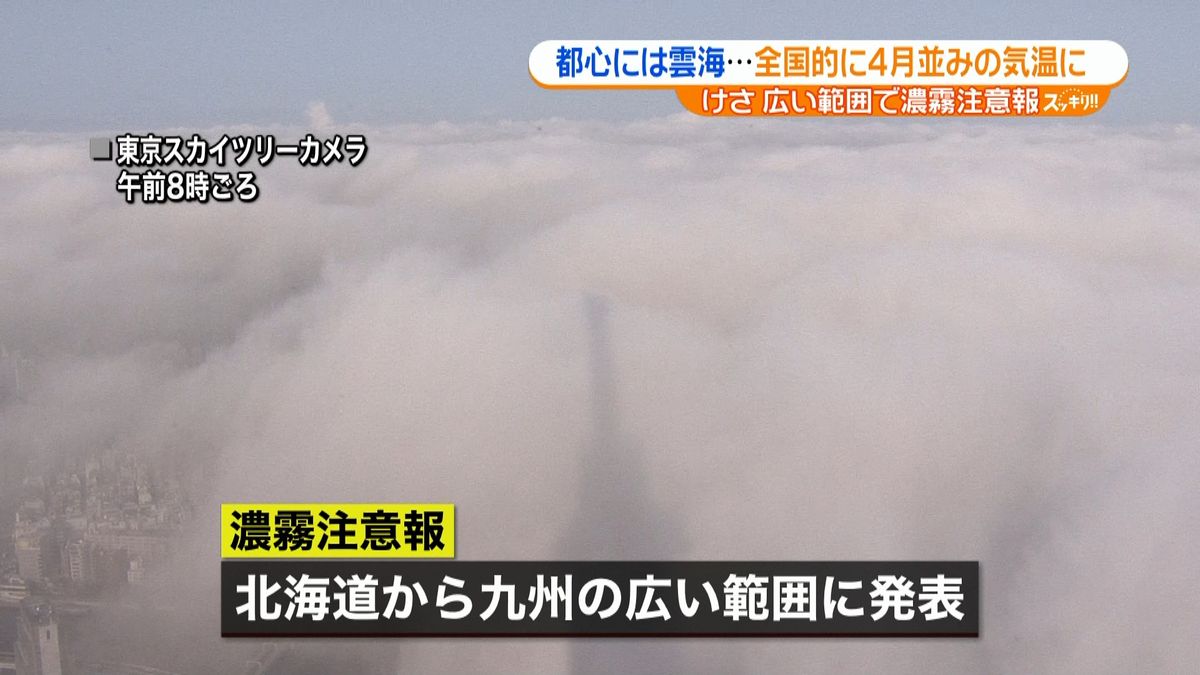 広範囲で濃霧　ビル群すっぽり…都心に雲海