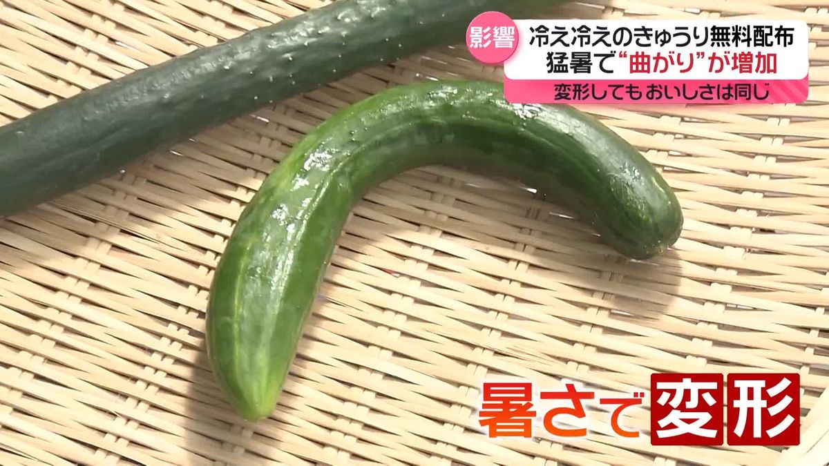 “常温保存で大根が溶けた”　猛暑で野菜も“夏バテ”　暑さに負けない保存方法は？