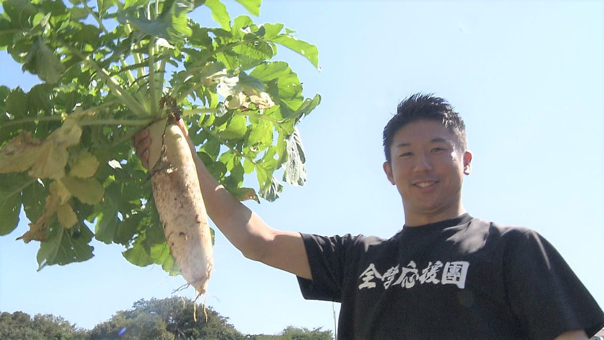 【箱根駅伝】10年ぶりの箱根路へ　東農大の応援団が名物“大根踊り”の大根を収穫「箱根に行きたい」